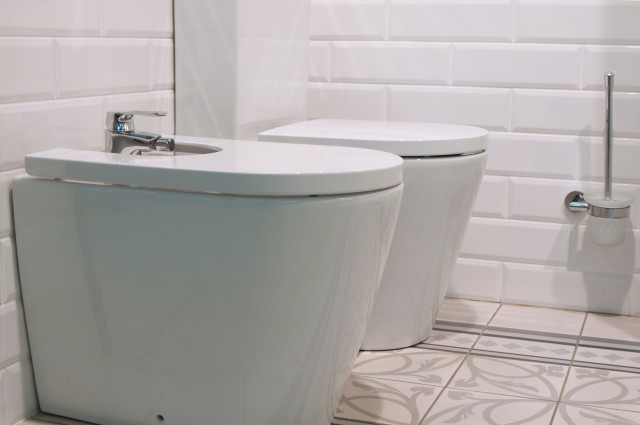 Bidet-Installation--in-Graford-Texas-bidet-installation-graford-texas.jpg-image