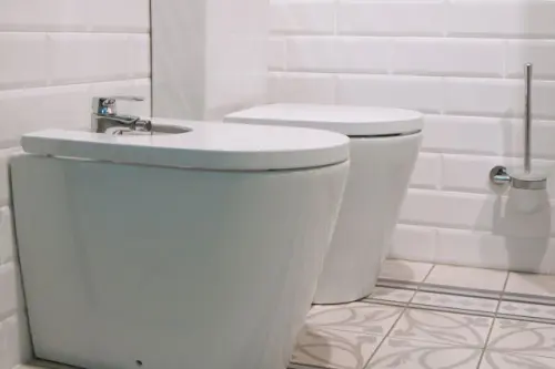 Bidet-Installation--in-Strawn-Texas-bidet-installation-strawn-texas.jpg-image